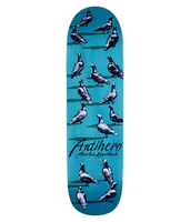 Deck Antihero -  Kanfoush Down Pigeon Custom